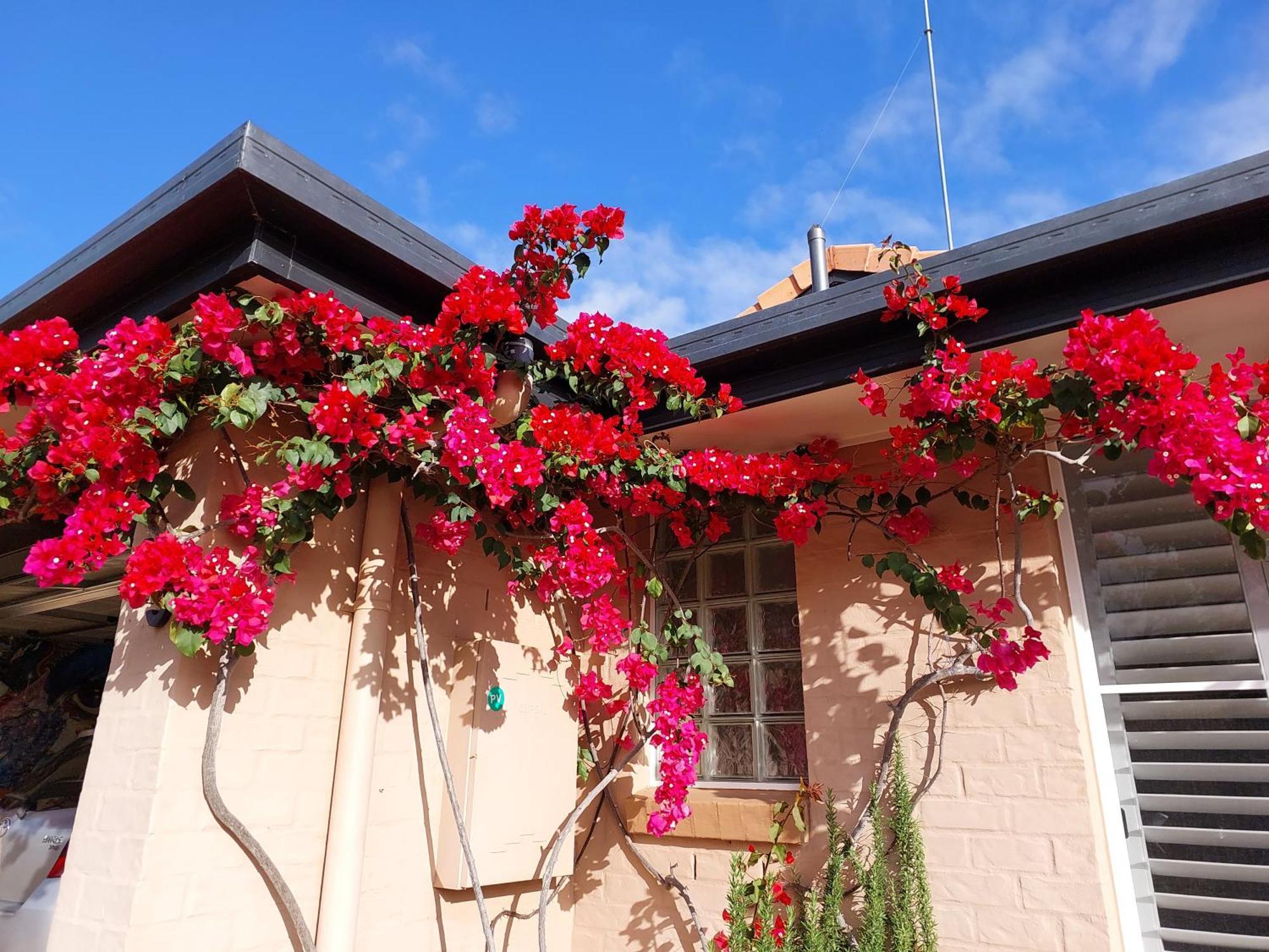 Summerhouses Noosaville Dış mekan fotoğraf